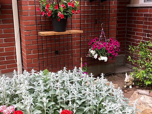 garden by mud room door