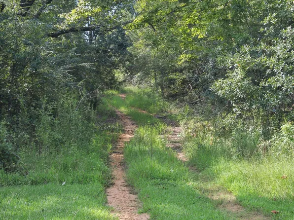 1010 County Road 319, Myrtle, MS 38650