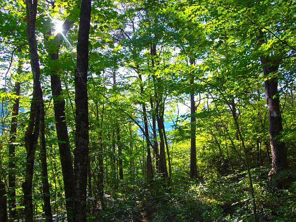 4th image of Hassler Rd