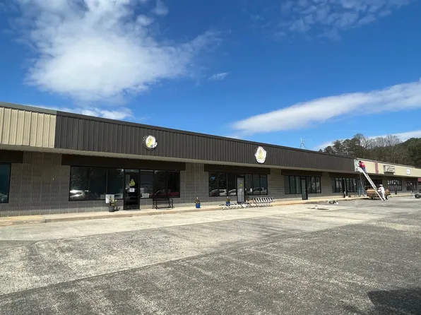 64 Sailors Dr #110, Ellijay, GA 30540