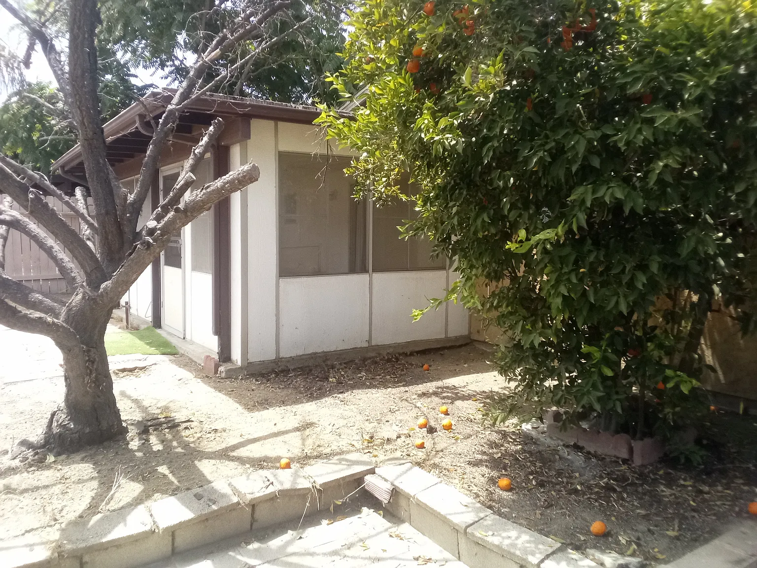 2 bed, 1000 sqft, $1,495 — Photo 4