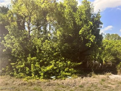 875 Haskell St E, Lehigh Acres, FL, 33974