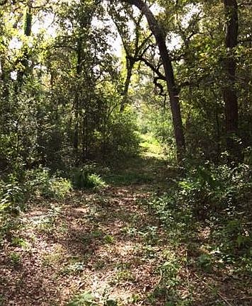 3rd image of 164 Wilbarger Creek Dr
