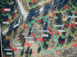 230 Pacer Ln, Carthage, NC 28327