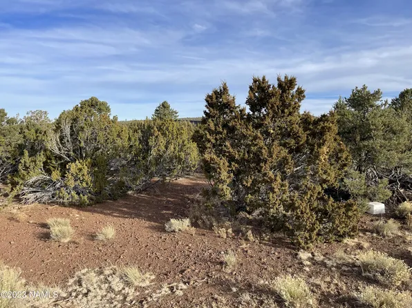 2393 E Starry Night Way #15, Williams, AZ 86046
