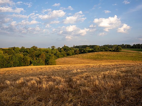 5th image of County Road 1