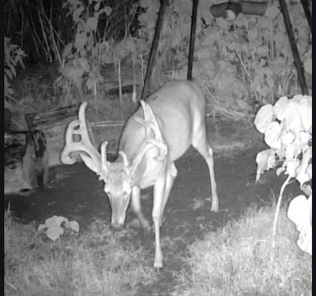 5th image of 398 N 20th Rd