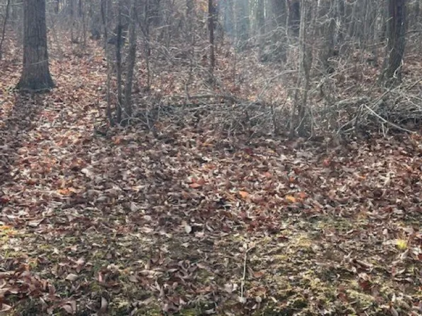 Union Church Rd, Palmyra, VA 22963