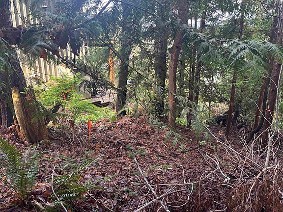 5th image of LOT 39 Sandy Hook Rd