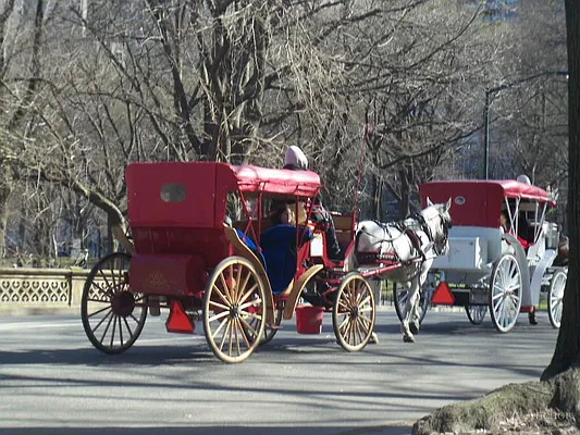 Sold by Anchor Associates | media 28