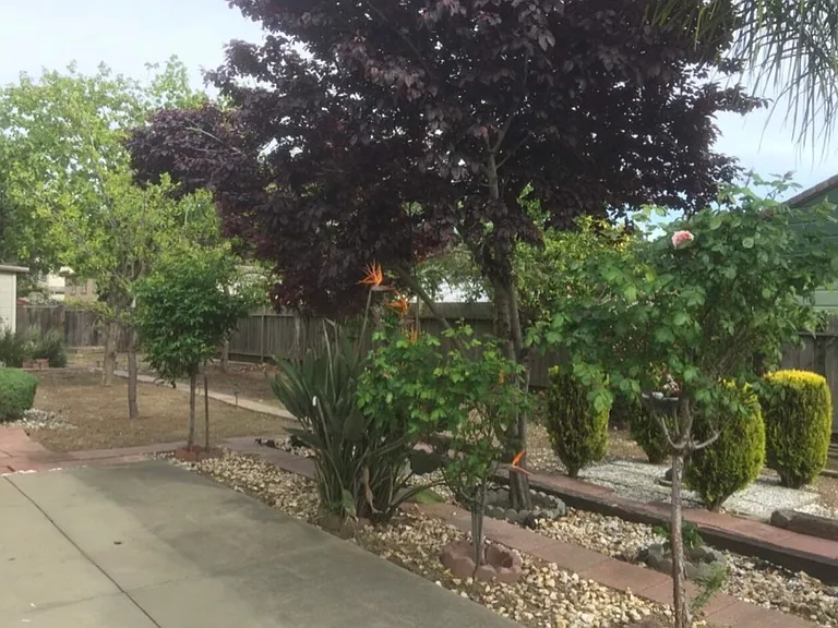 25386 Uvas Ct — Photo 22