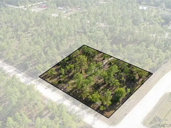 0 NE 132nd Ter Lot 1, Williston, FL 32696