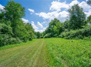 74000 Broadhead Rd, Kimbolton, OH 43749