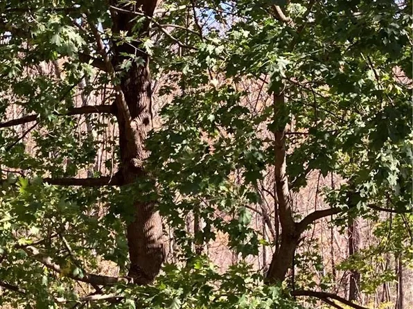 Phillipsport Road, Wurtsboro, NY 12790