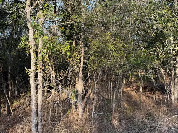 172 Helemano Dr, Bastrop, TX 78602