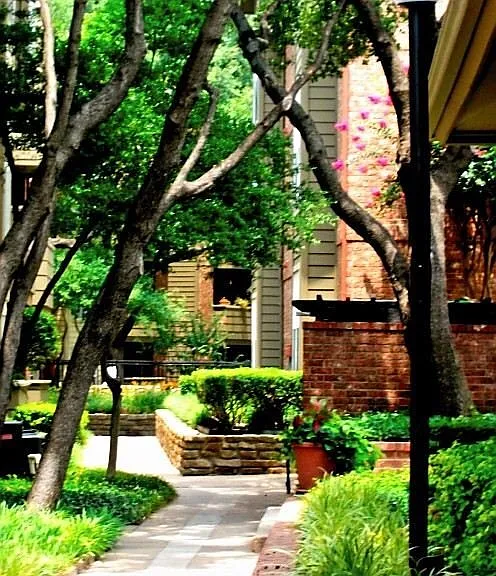 Scenic Footpath