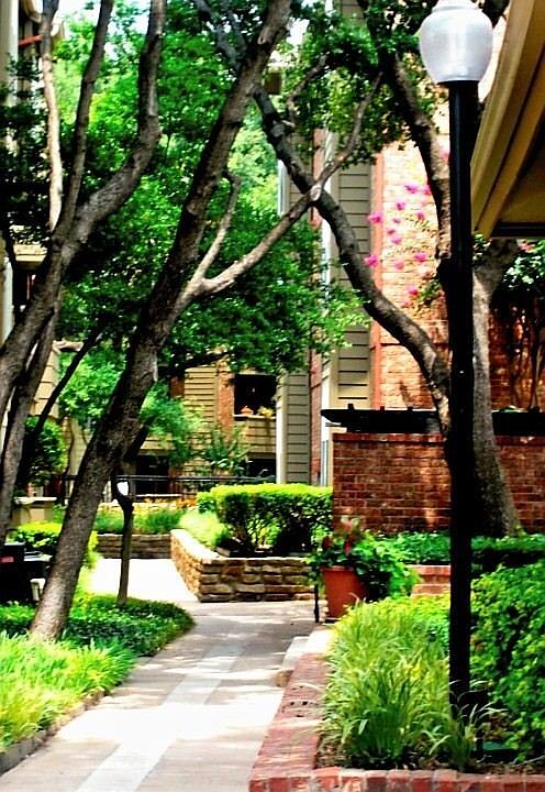 Scenic Footpath