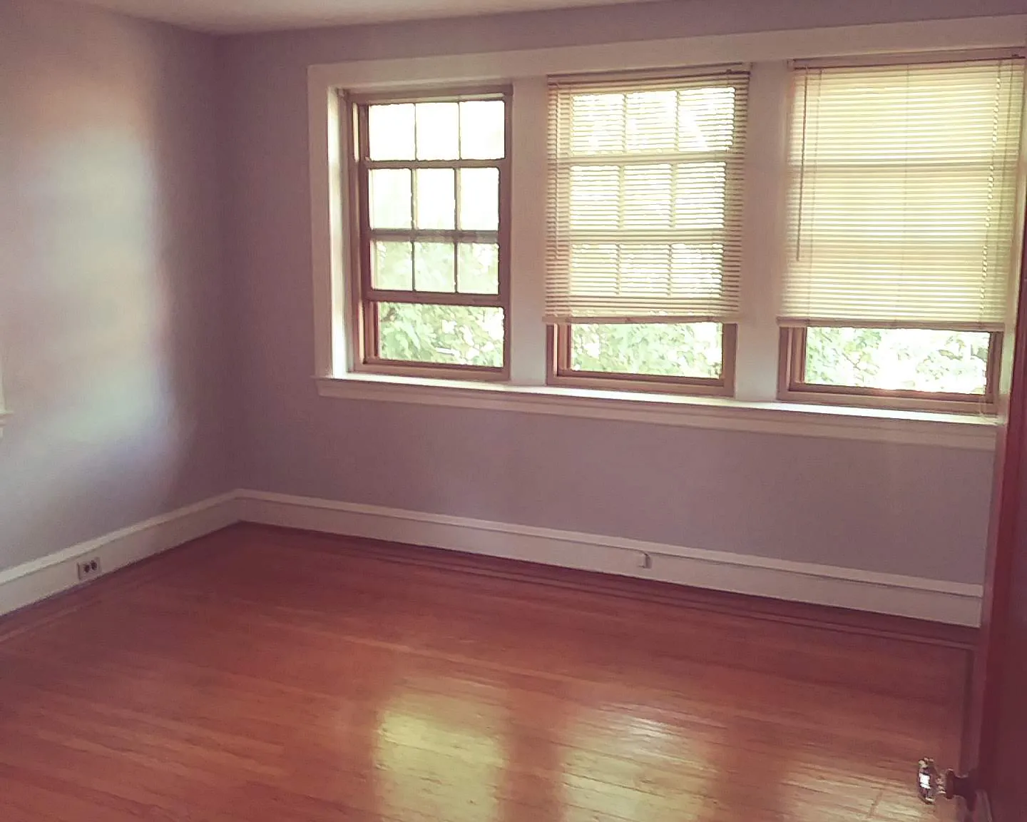 1 bed, 538 sqft, $1,575 — Photo 2