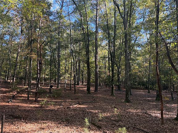 2nd image of TRACT E Four George Bryant Rd
