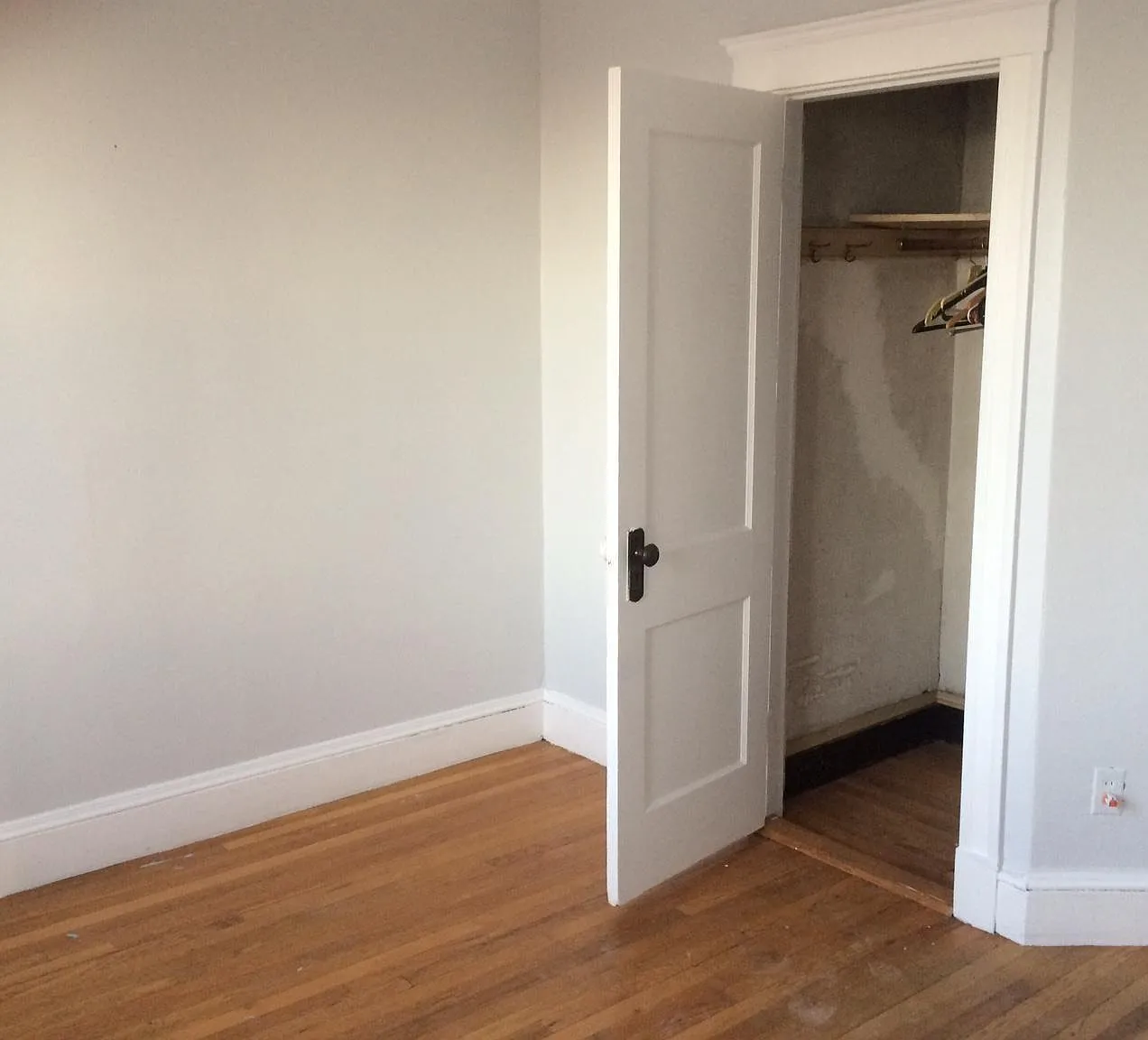 335-A Harvard St — Photo 3