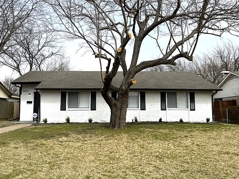 3037 Burning Tree Ln — Photo 1