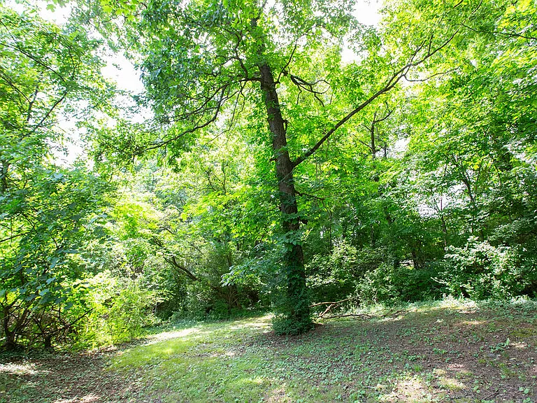 153 Wade Ln #153 — Photo 10
