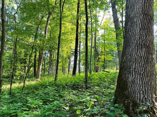 0 Old Town Lane, Muscoda, WI 53573