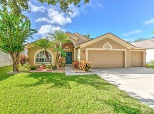 2505 Allwood Ave, Valrico, FL 33596