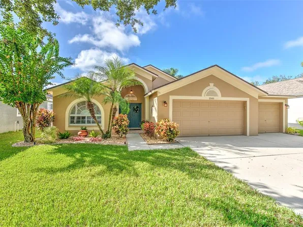 2505 Allwood Ave, Valrico, FL 33596