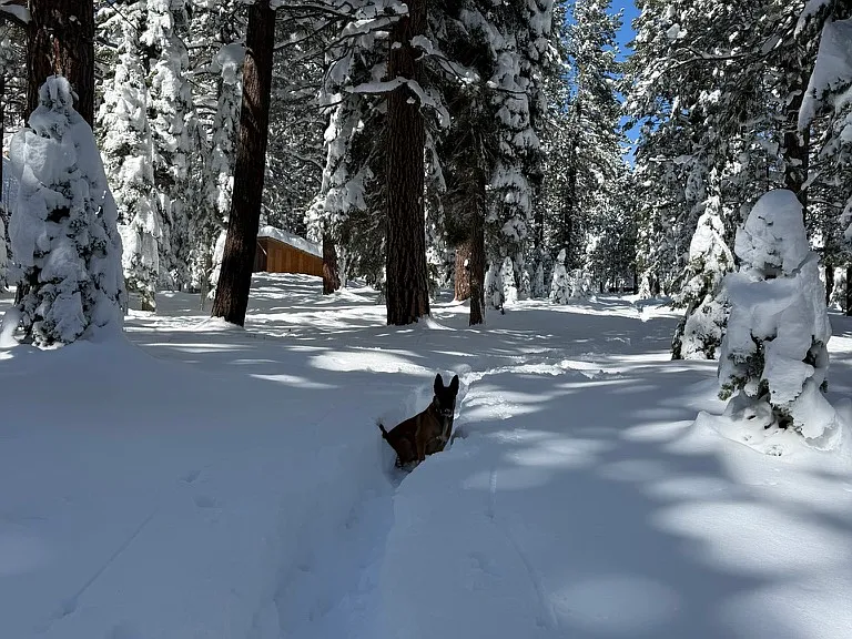 Miles of trails outside your door. Walking the dog, snow showing - its all outside your door. No need to drive anywhere - enjoy winter from your home