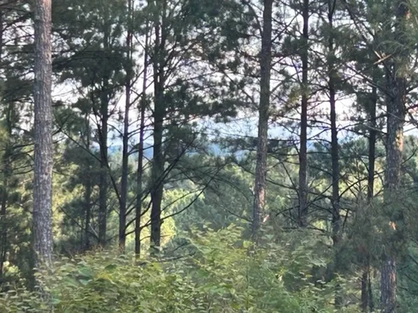 148 Highland Woods Rd, Copperhill, TN 37317