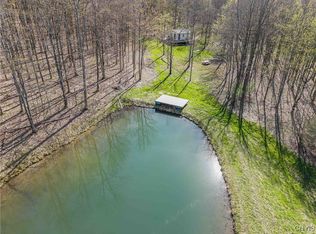 3882 Hurd Rd, Greenwood, NY 14839