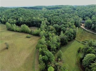 1270 Rock Spring Rd, Mill Spring, NC 28756