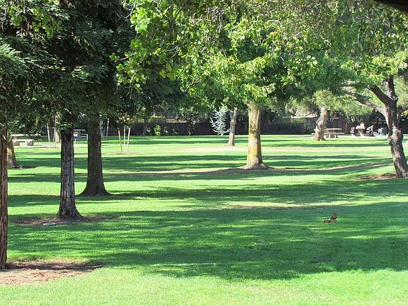 Close to the park and..