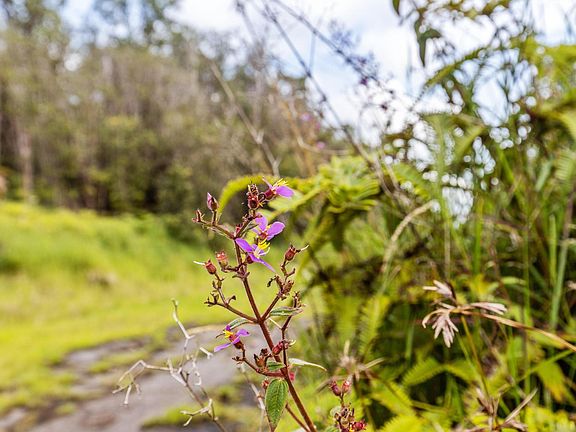 3rd image of 18-1854 Kuahiwi Rd