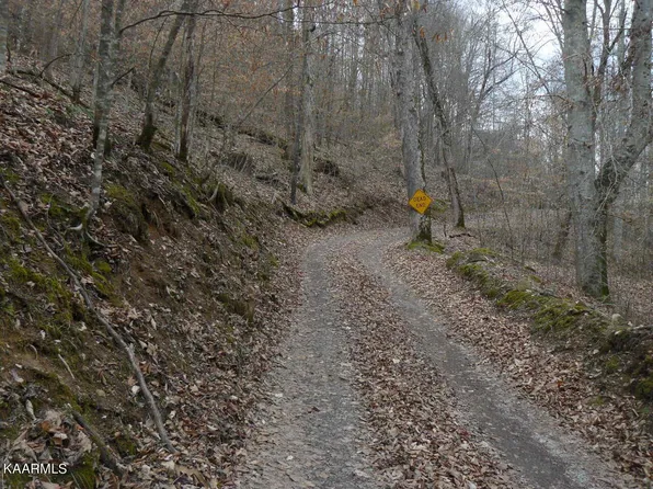 Jennie Tolbert Ln, Tazewell, TN 37879