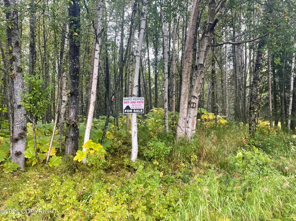 L17 & 18 Myron Ave, Kenai, AK 99611