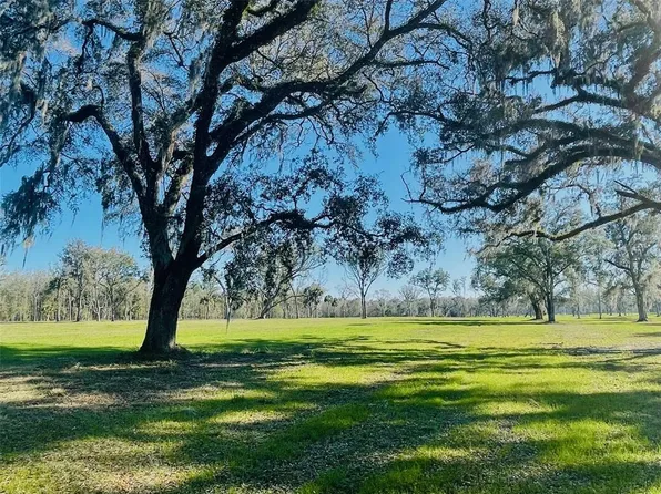 Highway 316, Reddick, FL 32686