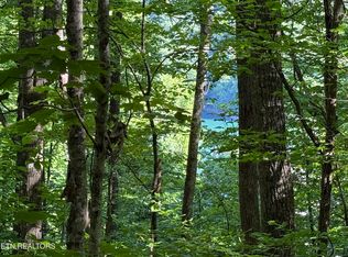 LOT 74 Norris Shores Dr, Sharps Chapel, TN 37866