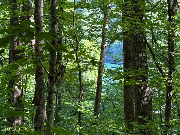 LOT 74 Norris Shores Dr, Sharps Chapel, TN 37866