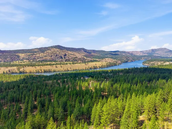 21609 W South Bank Rd, Nine Mile Falls, WA 99026