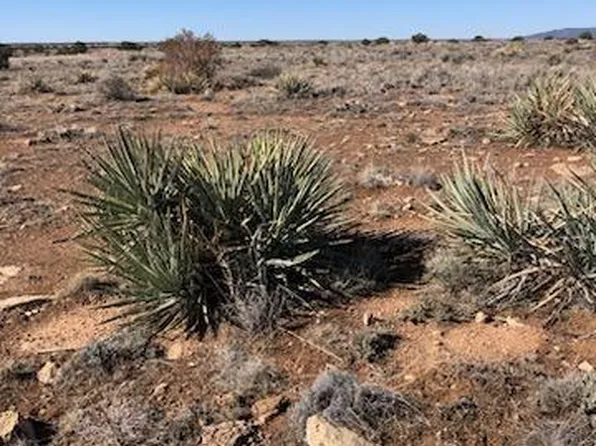 LOT 663 Chevelon Canyon Dr, Heber, AZ 85928