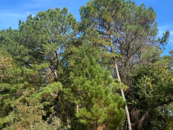 Pecan Grove Dr Lot 3&4, Kiln, MS 39556