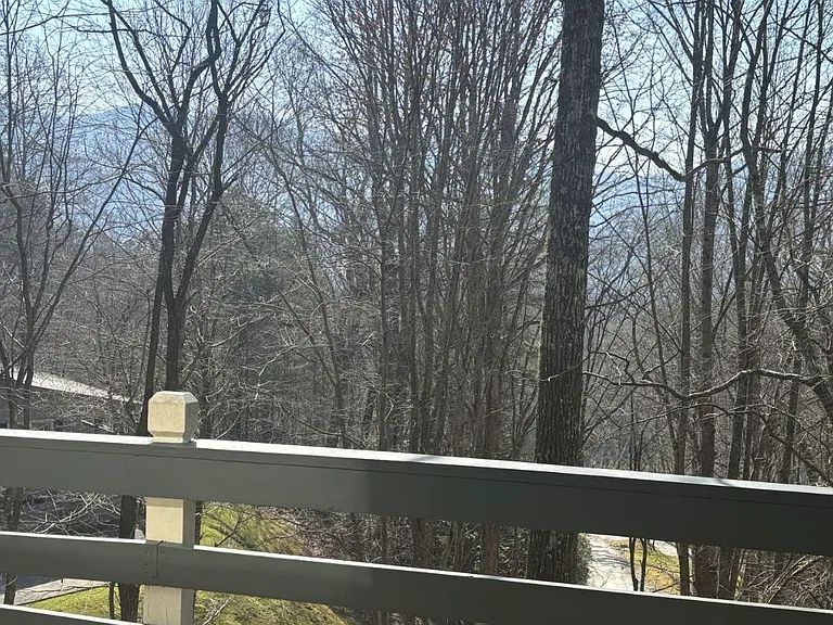 490 Chalet Village Ln — Photo 12