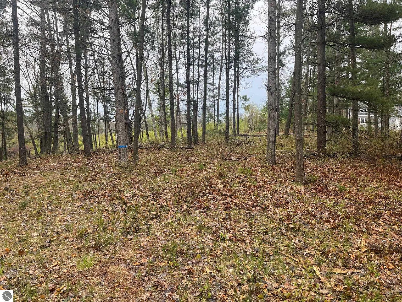 6491 S Glen Lake Rd, Glen Arbor, MI 49636 Zillow