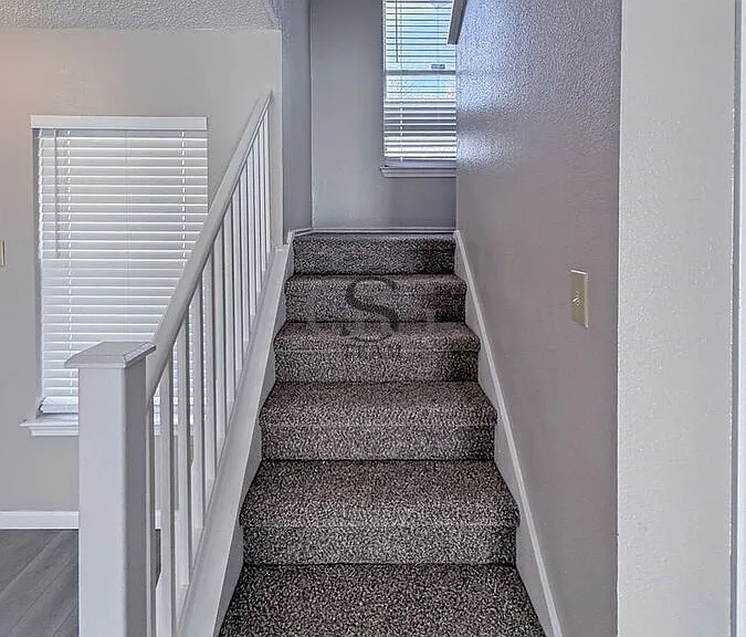 9730 Frost Plain Dr — Photo 24