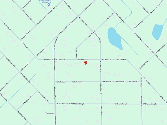 3rd image of 8946 N Cacalia Dr