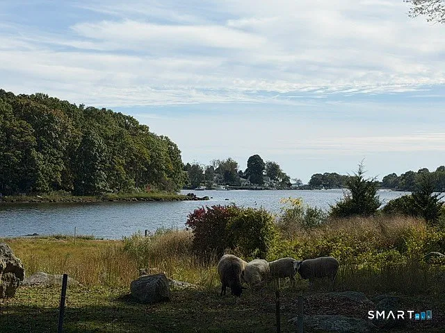 3 bed, 1.5 bath, 1200 sqft, $3,700 — Photo 2