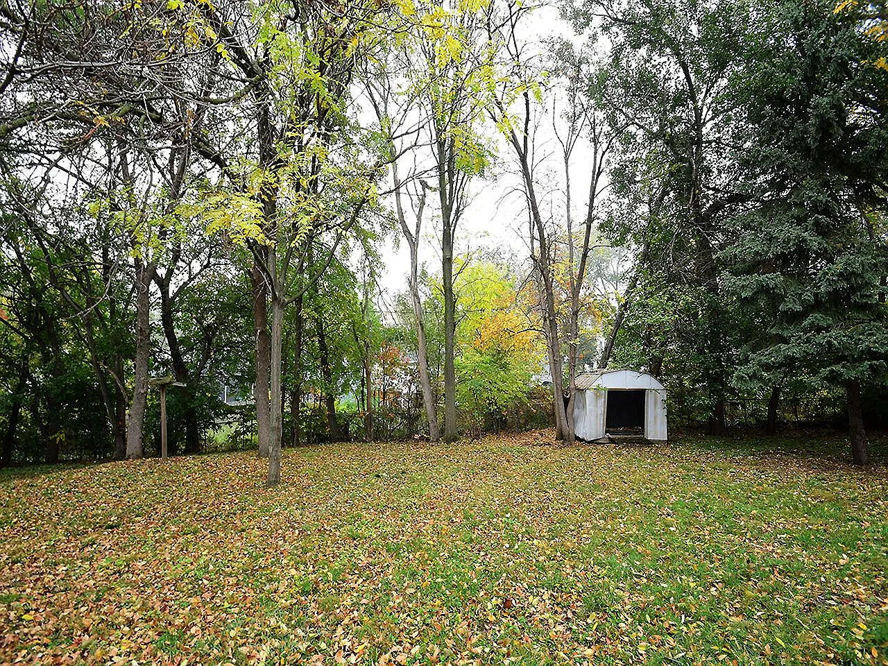 4 bed, 1537 sqft, $1,650 — Photo 3