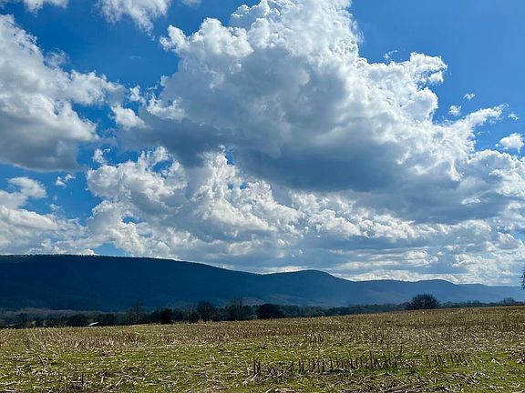 5th image of 7799 E Valley Rd